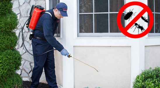 Bor Karınca İlaçlama böcek ilaçlama ve haşere kontrolü — ilaclama-tr.com